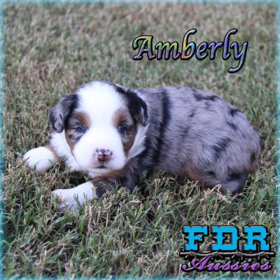 Amberly 6