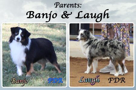 Banjo & Laugh