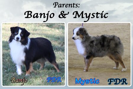 Banjo & Mystic