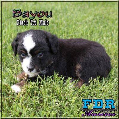 Bayou 10