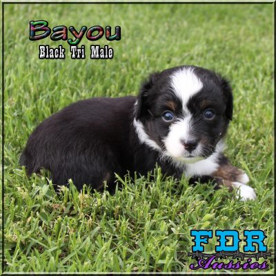 Bayou 11