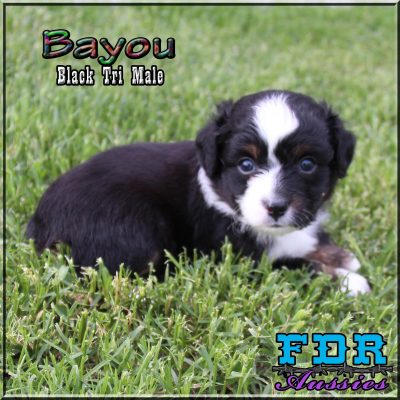 Bayou 9
