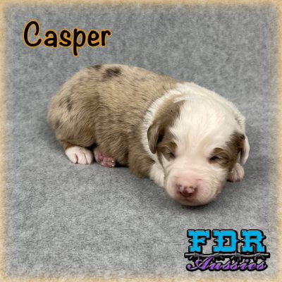 Casper 1