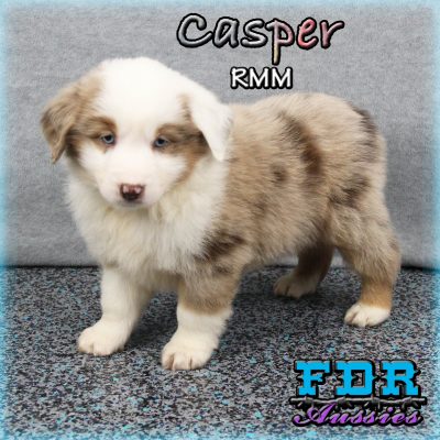 Casper 10