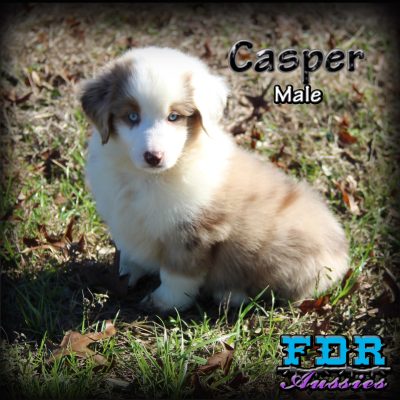 Casper 16