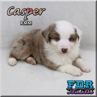 Casper 5