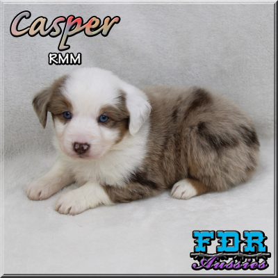 Casper 6