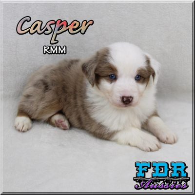 Casper 7