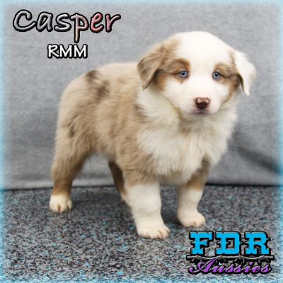 Casper 9