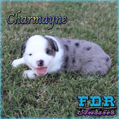 Charmayne 5