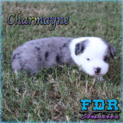 Charmayne 6
