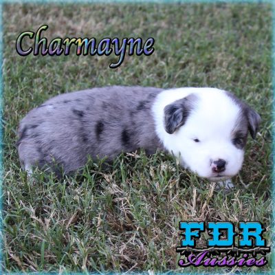 Charmayne 8