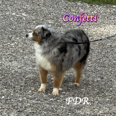 Confetti 6a
