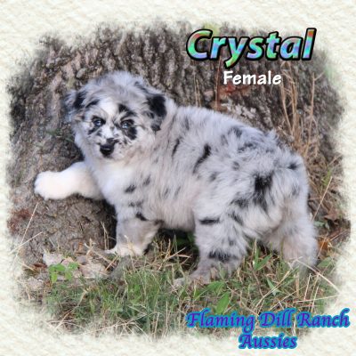 Crystal 10