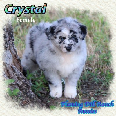 Crystal 12