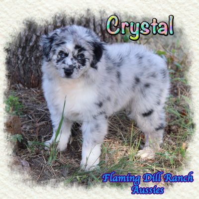 Crystal 13