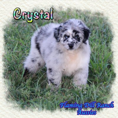 Crystal 14