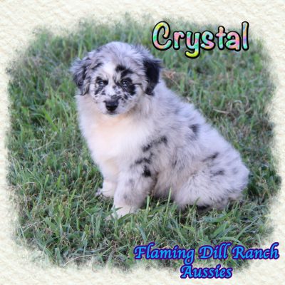 Crystal 15