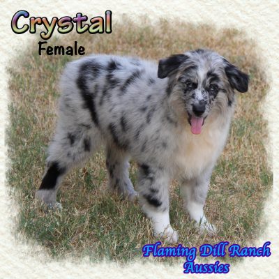 Crystal 17