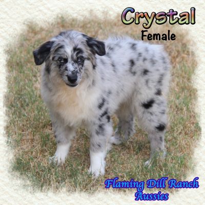 Crystal 18