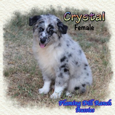 Crystal 20