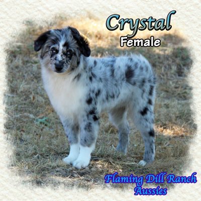Crystal 21