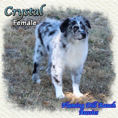 Crystal 22