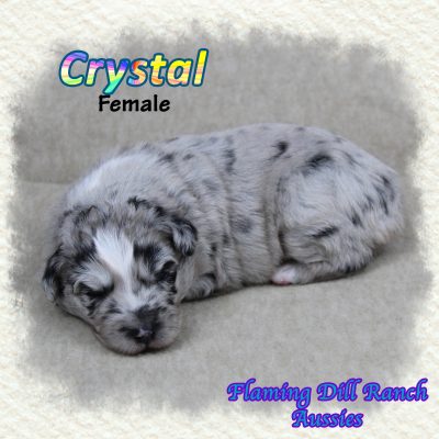 Crystal 4