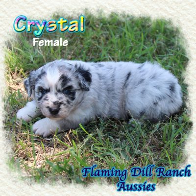 Crystal 6
