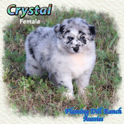 Crystal 9