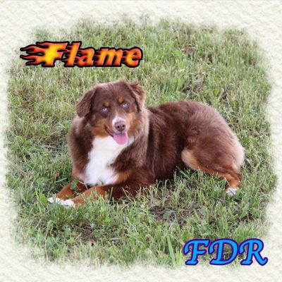 Flame 7