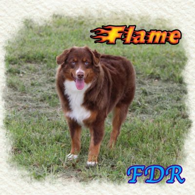 Flame 9