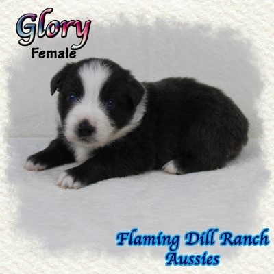 Glory 2