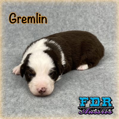 Gremlin 3