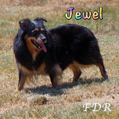 Jewel 1