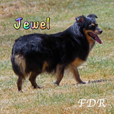 Jewel 2