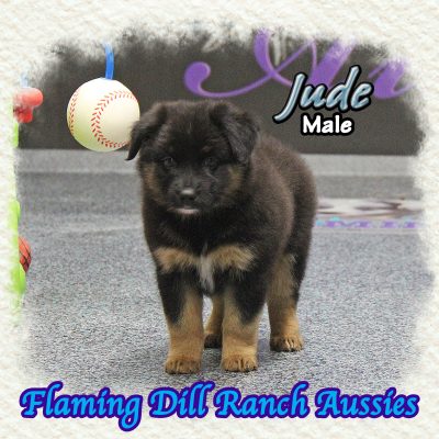 Jude 10