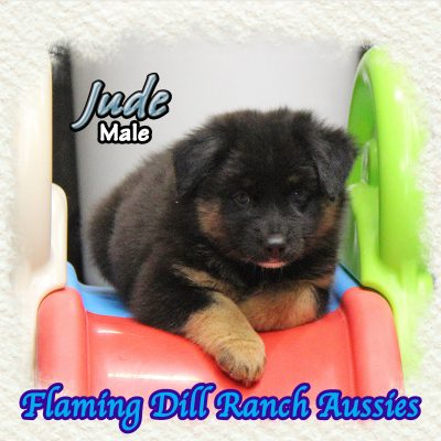 Jude 12