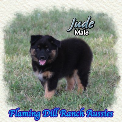 Jude 14