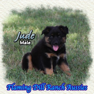Jude 15
