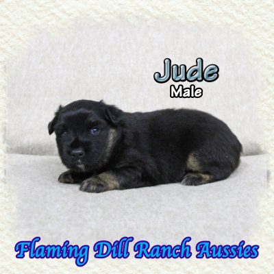 Jude 2