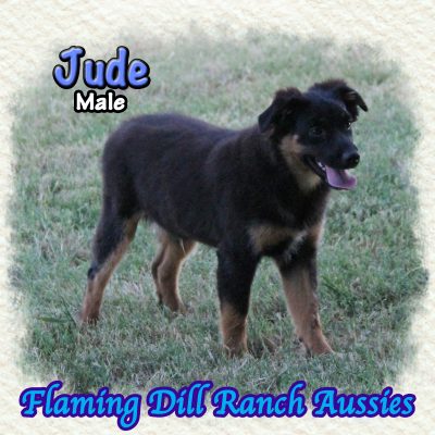 Jude 21