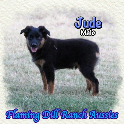 Jude 22