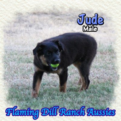 Jude 23