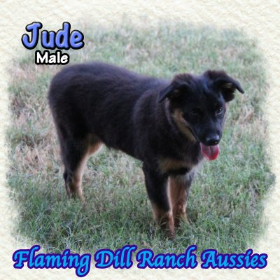 Jude 24