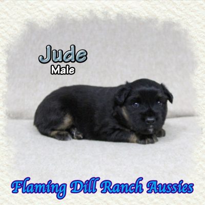 Jude 3