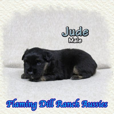 Jude 4