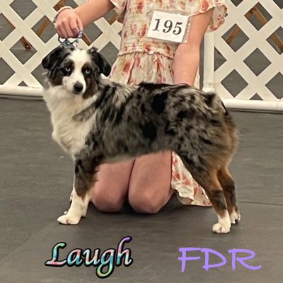 Laugh 10