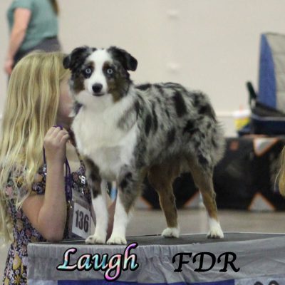 Laugh 2