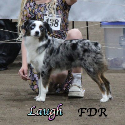 Laugh 5